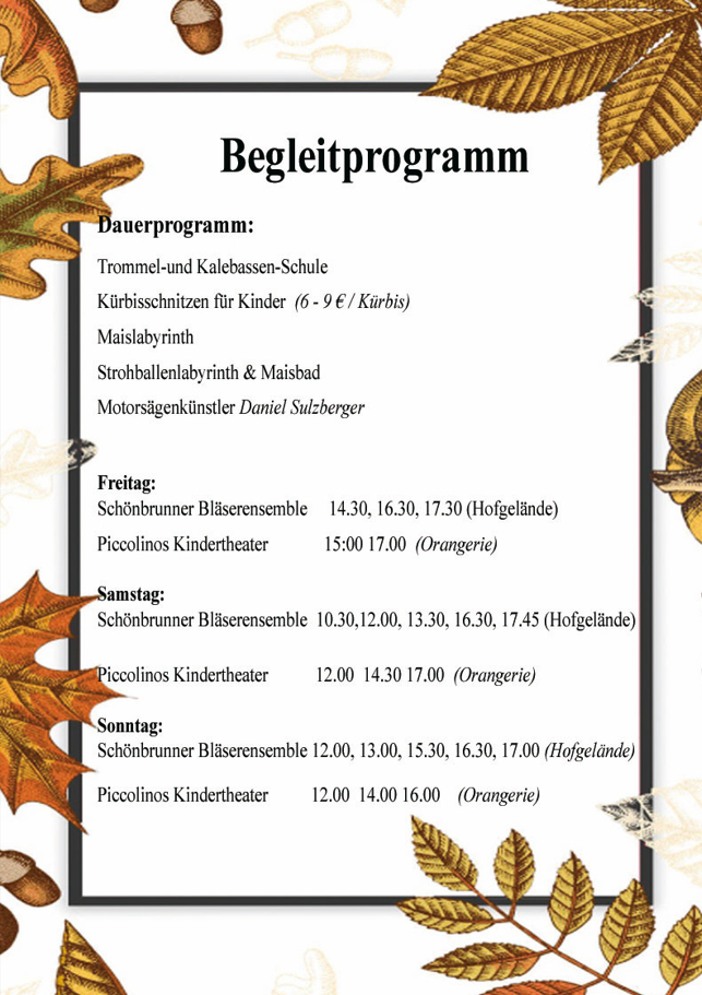 Begleitprogramm KK 2026